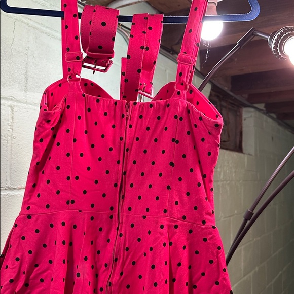 Maneater Swing Dress - Pink & Black w/ Pockets & Matching Thin & Wide Belts - Picture 3 of 3